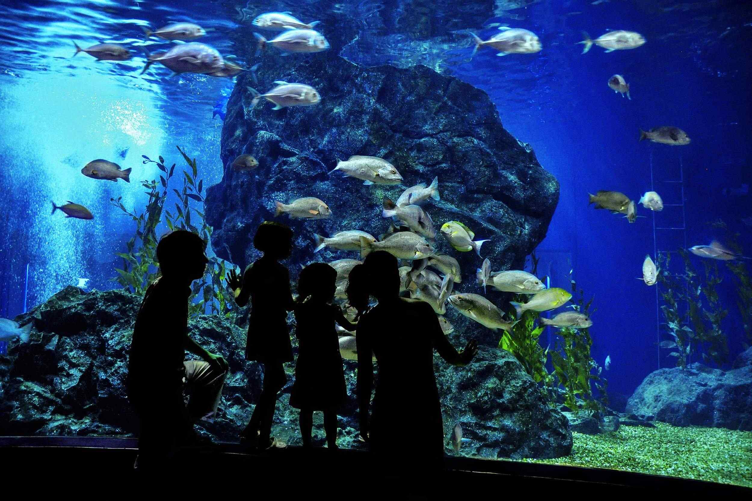 https://www.rizzvacations.com/wp-content/uploads/2018/08/post_capetown_01.jpg