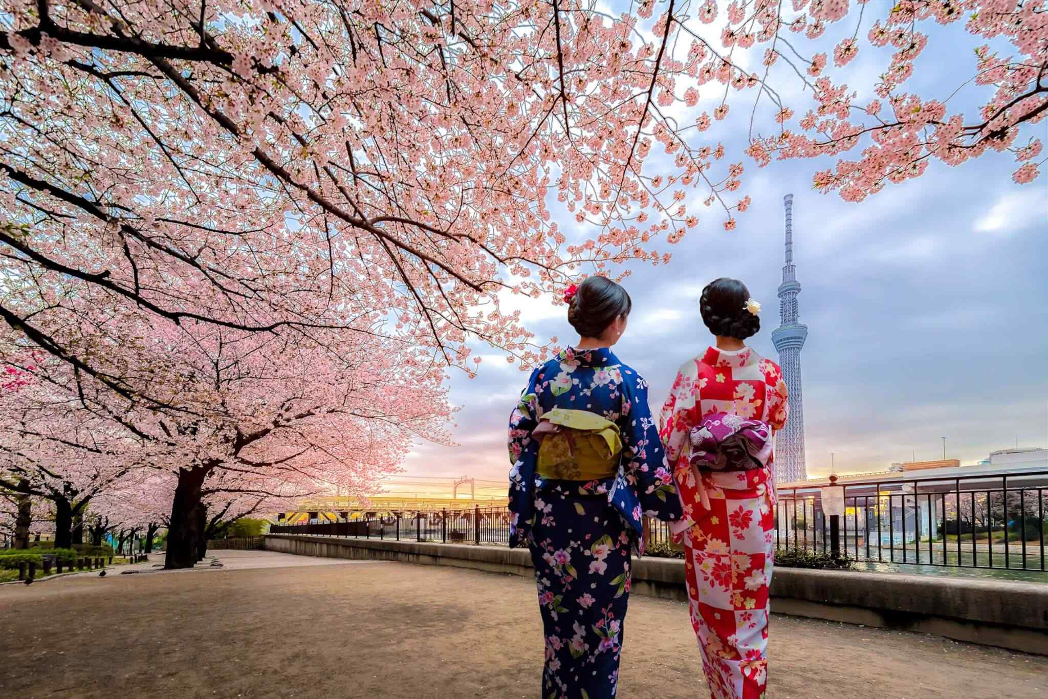 https://www.rizzvacations.com/wp-content/uploads/2018/09/destination-tokyo-03.jpg