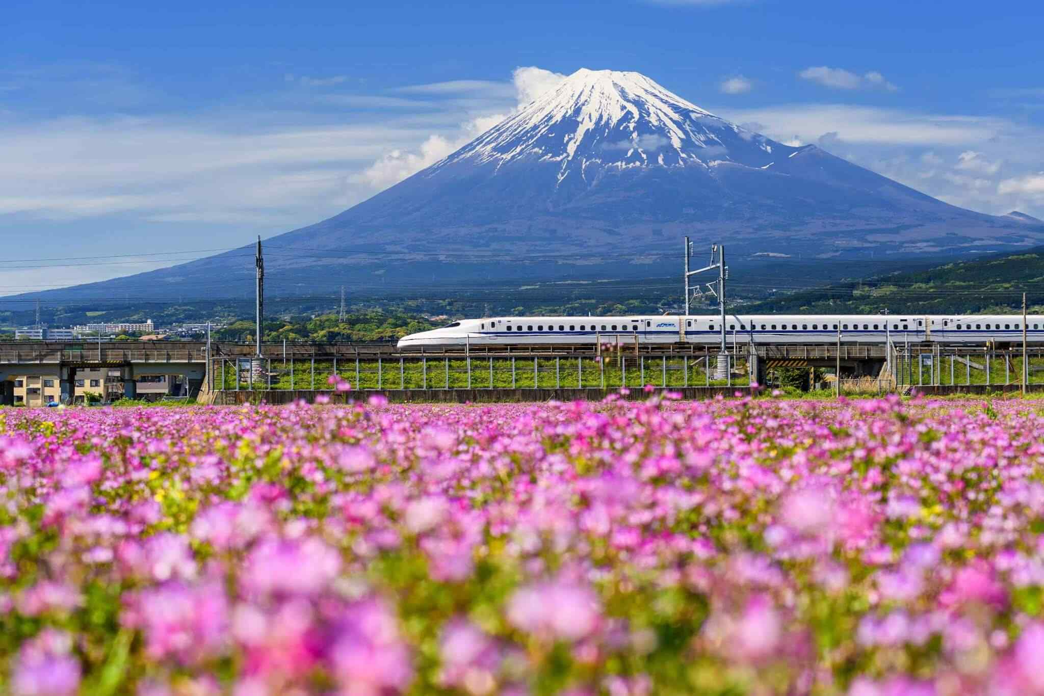tour-osaka-04 https://www.rizzvacations.com/wp-content/uploads/2018/09/tour-osaka-04.jpg