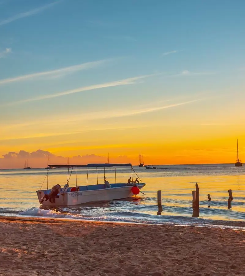 Western Caribbean Charm